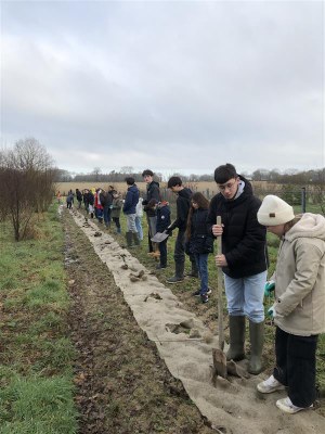 college-saint-paul-restauration-des-haies-bocageres